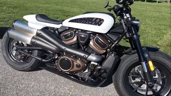 Best hotsell harley 2021